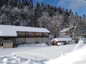  Gites de vacances Residence La Babaute LES ROUSSES  Ле Руссе